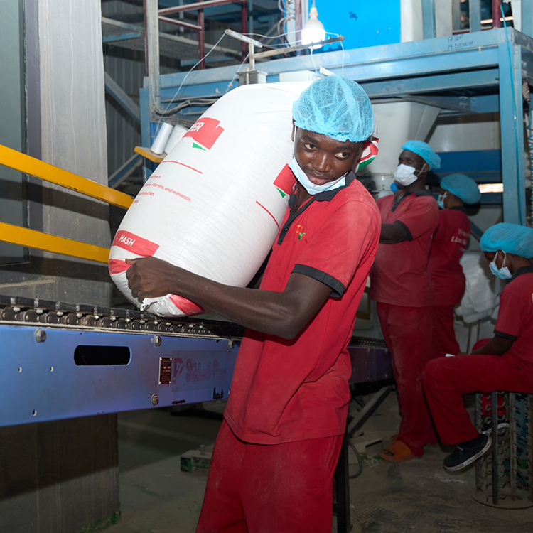 High-capacity soyabean processing equipment